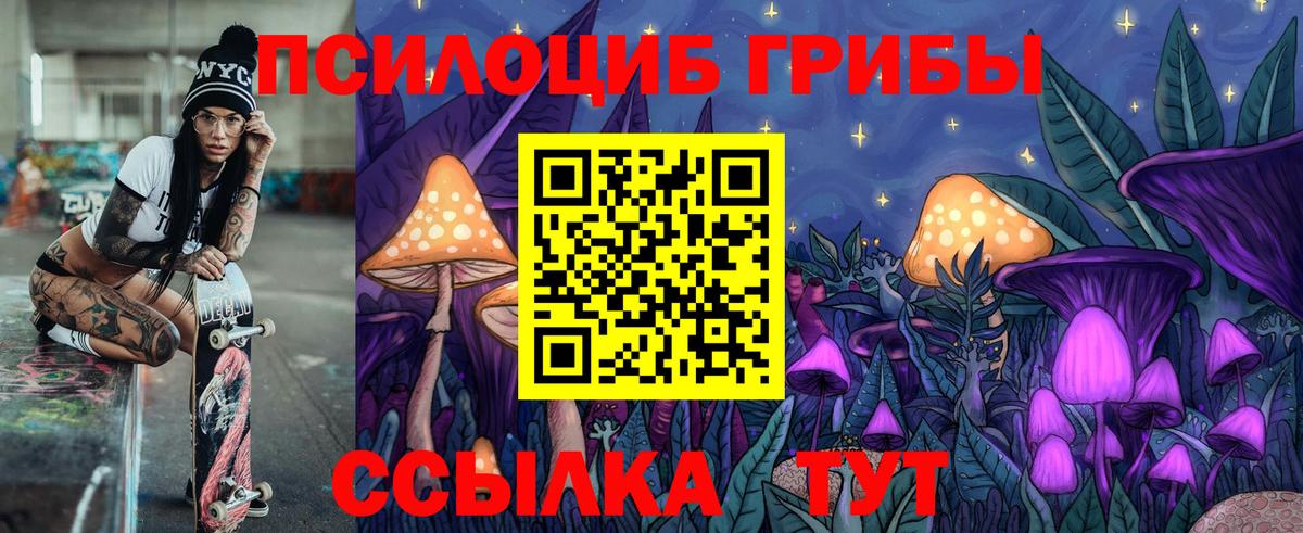 Псилоцибиновые грибы Psilocybine cubensis Нальчик