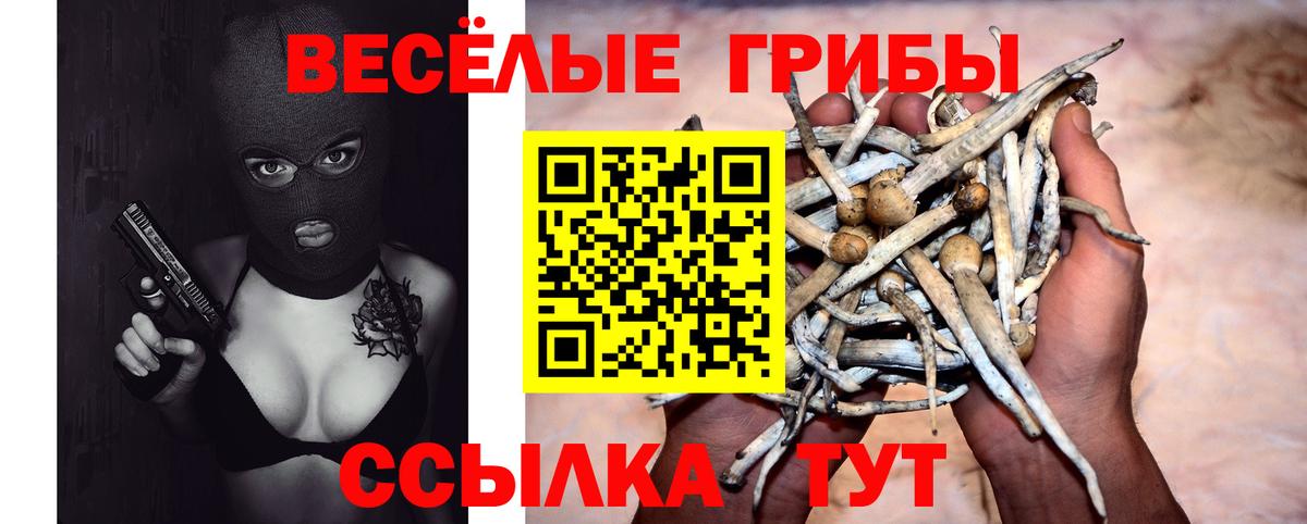 Нальчик  Галлюциногенные грибы ЛСД  Вход с VPN  Псилоцибиновые грибы Cubensis 